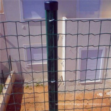 Science&Industry Zone Resistance uv Galvanized/PVC powder Euro fence